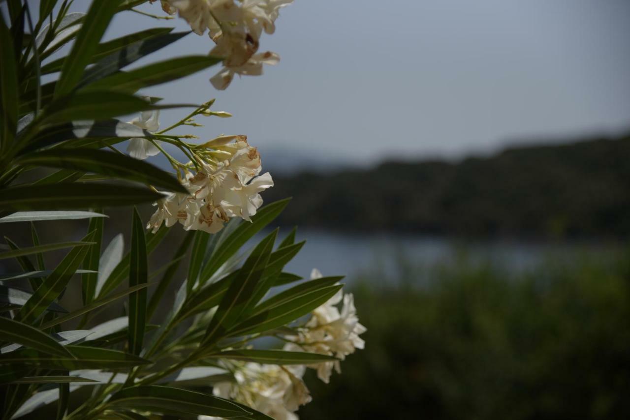 Elia Village Κατομέρι Εξωτερικό φωτογραφία