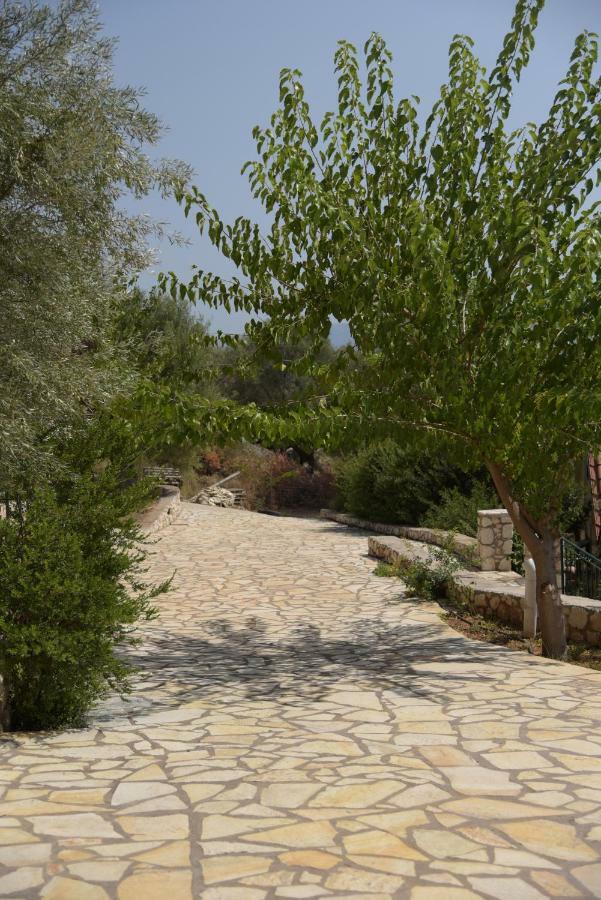 Elia Village Κατομέρι Εξωτερικό φωτογραφία